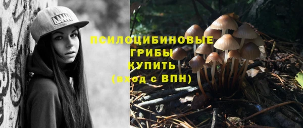 меф Горно-Алтайск