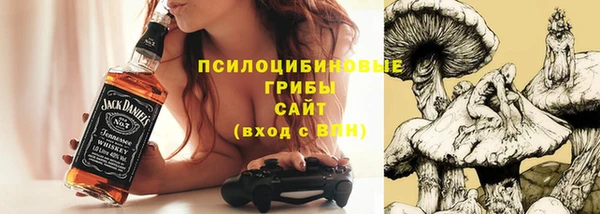меф Горно-Алтайск