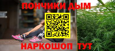 шишки Заводоуковск