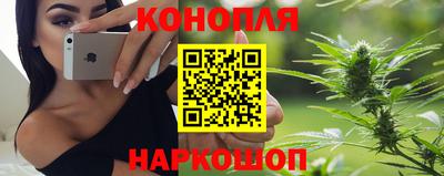 шишки Заводоуковск