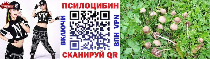 даркнет наркотические препараты  Медногорск  Псилоцибиновые грибы GOLDEN TEACHER 