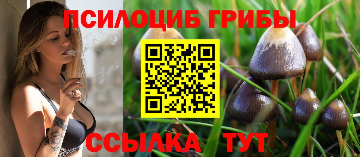 Псилоцибиновые грибы MAGIC MUSHROOMS  Галлюциногенные грибы Psilocybine cubensis  Медногорск  Вход с VPN 